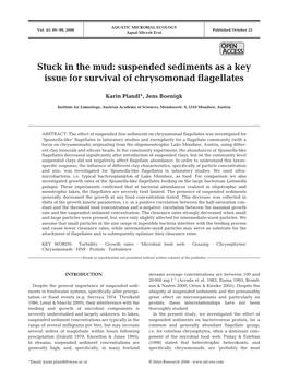 Stuck in the Mud: Suspended Sediments As a Key Issue for Survival of Chrysomonad Flagellates