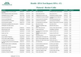 DNA Test Report: DNA - CL