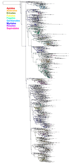 Dplotkin Ch4 Object4 16 Host