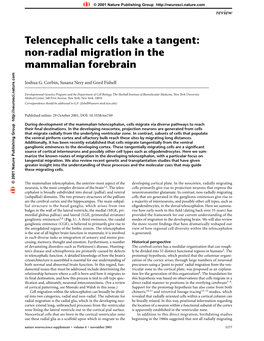 Telencephalic Cells Take a Tangent: Non-Radial Migration in the Mammalian Forebrain