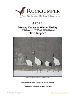 Japan Dancing Cranes & Winter Birding 16Th February – 11Th March 2018 (18 Days) Trip Report