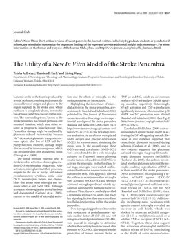 The Utility of a Newin Vitromodel of the Stroke Penumbra