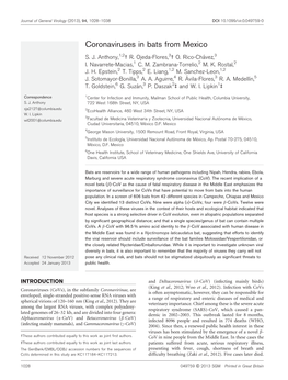 Coronaviruses in Bats from Mexico