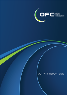 Activity Report 2013