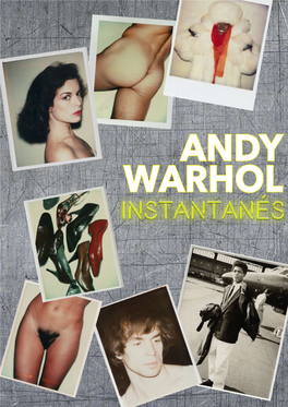 WARHOL-Catalogue-PDF BD 0.Pdf