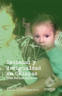 Sociedad Y Desigualdad En Chiapas Una Mirada Reciente