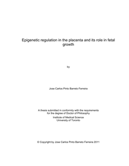 Epigenetic Regulation in the Placenta and Its Role in Fetal Growth