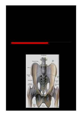 Bone Grafting and Reconstruction Introduction