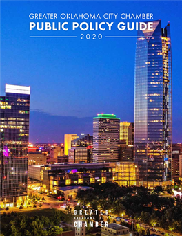 Public Policy Guide 2020