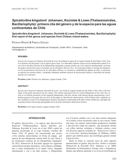 Spicaticribra Kingstonii Johansen, Kociolek & Lowe (Thalassiosirales