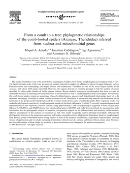 Phylogenetic Relationships of the Comb-Footed Spiders (Araneae, Theridiidae) Inferred from Nuclear and Mitochondrial Genes