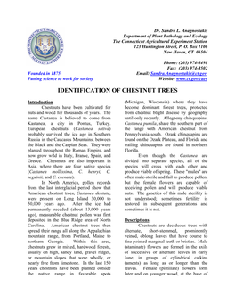 Identification of American Chestnut Trees