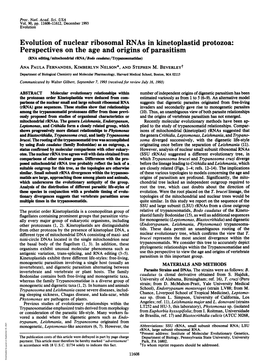 Evolution of Nuclear Ribosomal Rnas in Kinetoplastid Protozoa