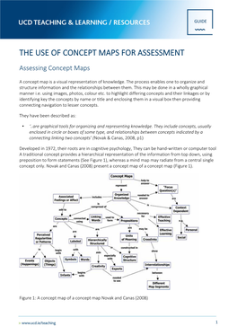 The Use of Concept Maps for Assessment