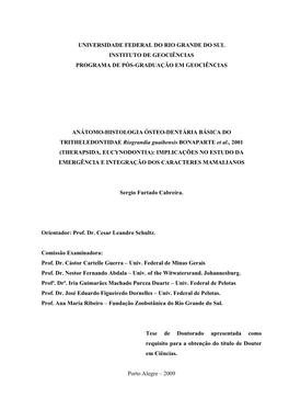 Universidade Federal Do Rio Grande Do Sul Instituto De Geociências Programa De Pós-Graduação Em Geociências