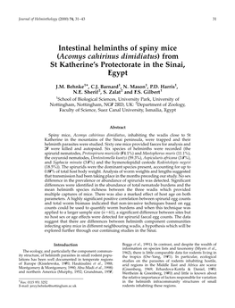 Acomys Cahirinus Dimidiatus) from St Katherine’S Protectorate in the Sinai, Egypt