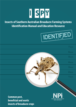 I SPY: Insects of Southern Australian Broadacre Farming Systems