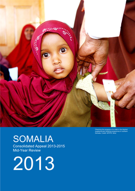 Somalia Consolidated Appeal Mid-Year Review 2013