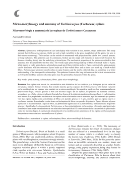 Micro-Morphology and Anatomy of Turbinicarpus (Cactaceae) Spines