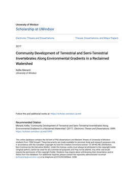 Community Development of Terrestrial and Semi-Terrestrial Invertebrates Along Environmental Gradients in a Reclaimed Watershed