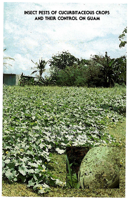 Insect Pests of Cucurbit Aceous Crops and Their Control on Guam