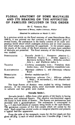 Floral Anatomy of Some Malvales and Its Bearing on the Affinities of Families Included in the Order