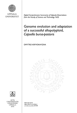 Genome Evolution and Adaptation of a Successful Allopolyploid, Capsella Bursa-Pastoris