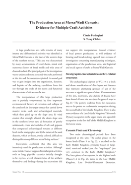 The Production Area at Mersa/Wadi Gawasis: Evidence for Multiple Craft Activities