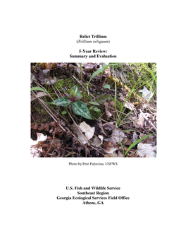 Relict Trillium (Trillium Reliquum) 5-Year Review