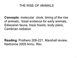 Geobiology, Lecture Notes 14