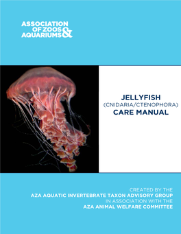 Jellyfish Care Manual