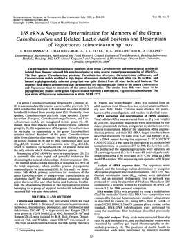 16S Rrna Sequence Determination for Carnobacterium and Related