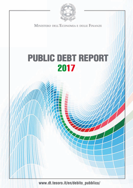 Public Debt Report 2017