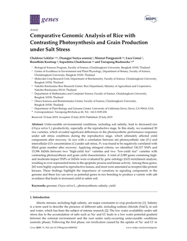 Comparative Genomic Analysis of Rice with Contrasting Photosynthesis and Grain Production Under Salt Stress