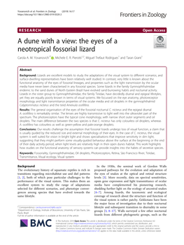 A Dune with a View: the Eyes of a Neotropical Fossorial Lizard Carola A