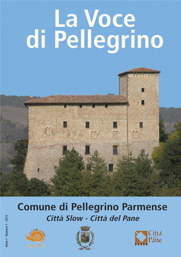 Comune Di Pellegrino Parmense 2 1 0 2