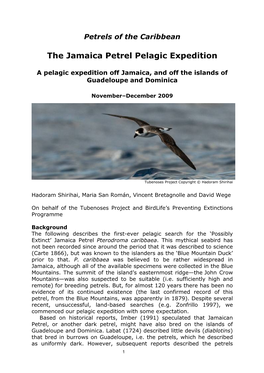 The Jamaica Petrel Pelagic Expedition