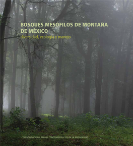 Bosques Mesófilos De Montaña De México Diversidad, Ecología Y Manejo