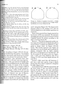 Capart, 1951:40. Figures: Monod, 1956, Figs. 117-121. Male Pleopod