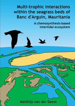 Multi-Trophic Interactions Within the Seagrass Beds of Banc D'arguin, Mauritania a Chemosynthesis-Based Intertidal Ecosystem