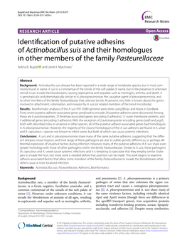 Identification of Putative Adhesins of Actinobacillus Suis and Their Homologues in Other Members of the Family Pasteurellaceae Adina R