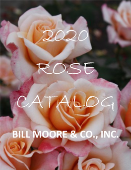 2020 Rose Catalog