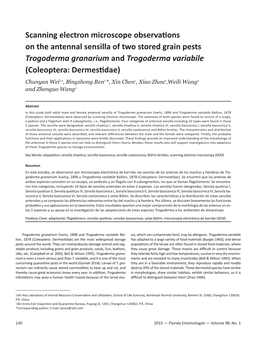 Scanning Electron Microscope Observations on the Antennal