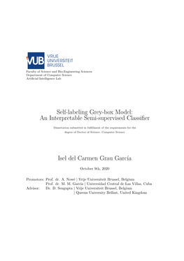Self-Labeling Grey-Box Model: an Interpretable Semi-Supervised Classifier Isel Del Carmen Grau García