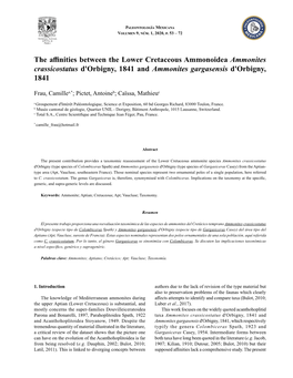 The Affinities Between the Lower Cretaceous Ammonoidea Ammonites Crassicostatus D'orbigny, 1841 and Ammonites Gargasensis D'orbigny, 1841