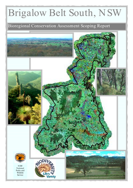 Brigalow Belt South Bioregion Scoping Report