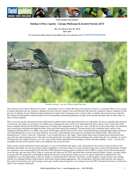 Iquitos ‐ Canopy Walkways & Ancient Forests 2015