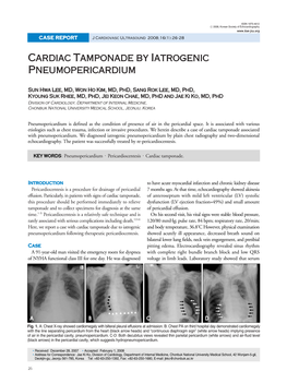 Cardiac Tamponade by Iatrogenic Pneumopericardium