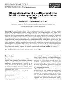 Characterization of a Sulfide-Oxidizing Biofilm Developed in a Packed-Column Reactor