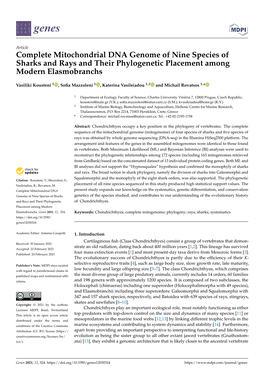 Complete Mitochondrial DNA Genome of Nine Species of Sharks and Rays and Their Phylogenetic Placement Among Modern Elasmobranchs